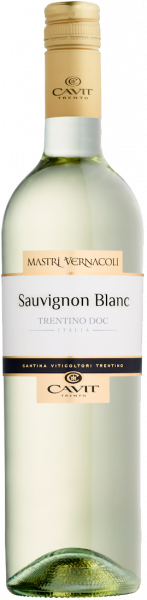 Sauvignon Blanc Trentino DOC Mastri Vernacoli