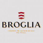 Broglia