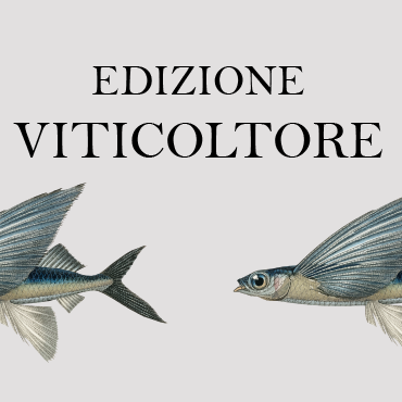 Edizione Viticoltore