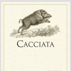 Cacciata