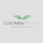 Colomba Bianca