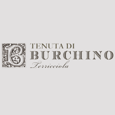 Burchino